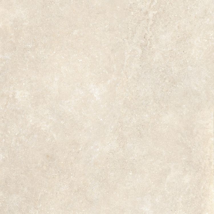 Untamed Wander Warm 48 x 48